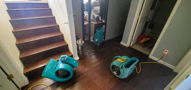 Best Water damage cleanup near me  in Tahoka, TX