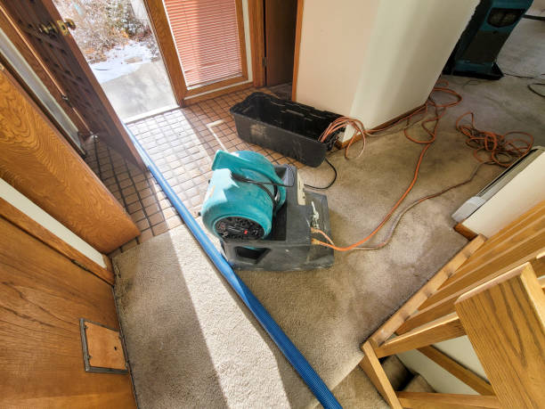 Best Residential water damage restoration  in Tahoka, TX