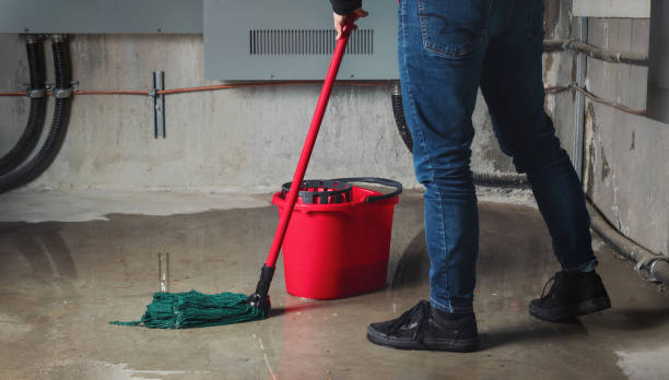 Best Sewage cleanup and water damage restoration  in Tahoka, TX