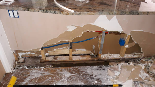 Best Basement water damage restoration  in Tahoka, TX