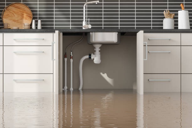 Best Water damage restoration cost  in Tahoka, TX